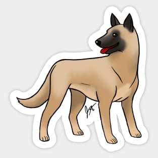 Dog - Belgian Malinois - Fawn Sticker